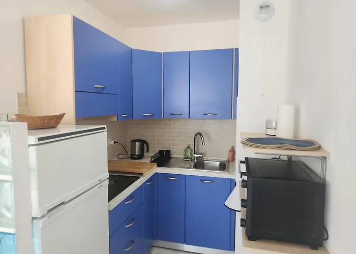 Les Fleurs Bleues Apartment Antibes